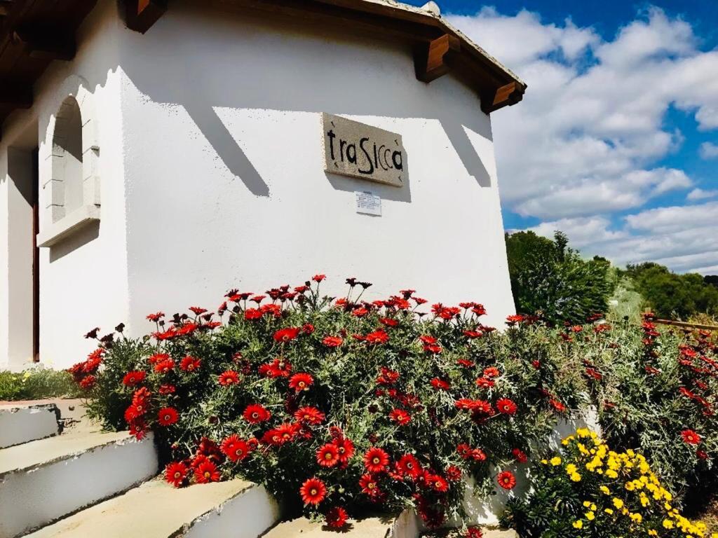Trasicca B&B Brunella Esterno foto